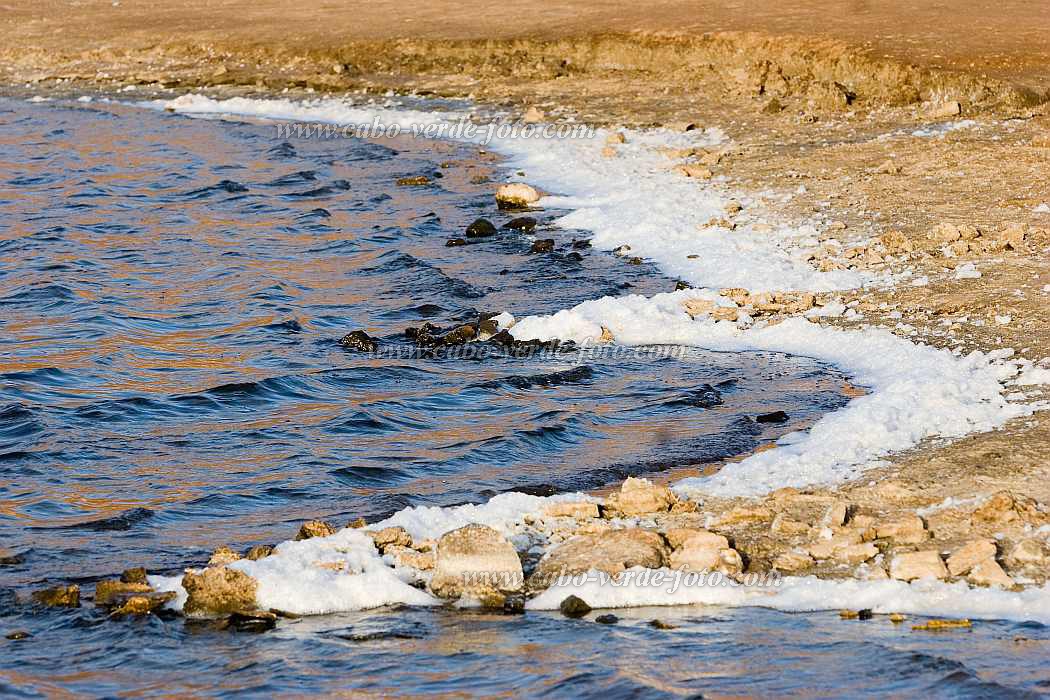 Sal : Pedra de Lume : salt lake : NatureCabo Verde Foto Gallery