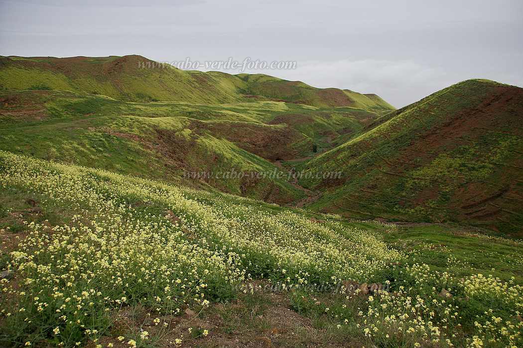 Insel: Santo Anto  Wanderweg:  Ort: Norte Motiv: Wanderweg Motivgruppe: Landscape Mountain © Florian Drmer www.Cabo-Verde-Foto.com