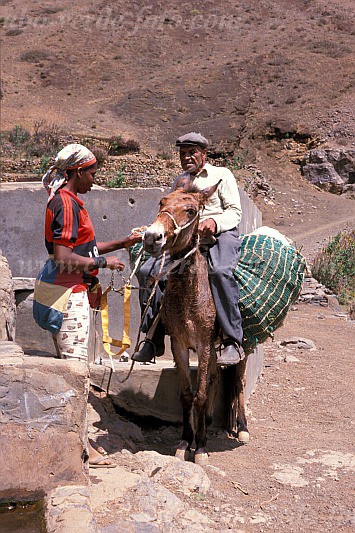 Insel: So Nicolau  Wanderweg:  Ort: Palhal Motiv: Maultier Motivgruppe: People Work © Pitt Reitmaier www.Cabo-Verde-Foto.com