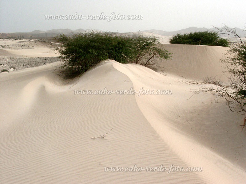 Boa Vista : Deserto Viana : deserto : Landscape DesertCabo Verde Foto Gallery