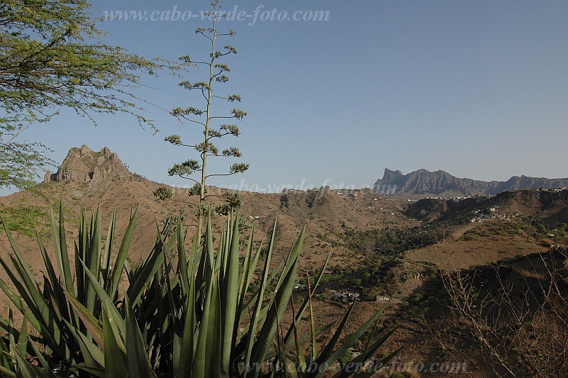 Insel: Santiago  Wanderweg:  Ort: Cabeca Carreira Motiv: Blick ber die Hochebene Motivgruppe: Landscape Mountain © Pitt Reitmaier www.Cabo-Verde-Foto.com