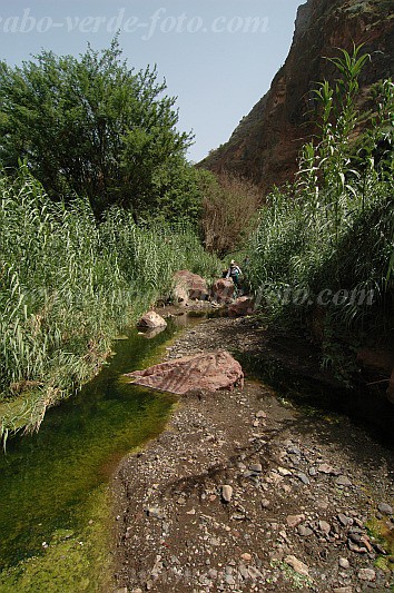 Santiago : Tabugal : hiking track : LandscapeCabo Verde Foto Gallery