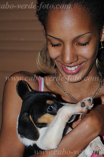 So Vicente : Mindelo Bela Vista : dog : Nature AnimalsCabo Verde Foto Gallery