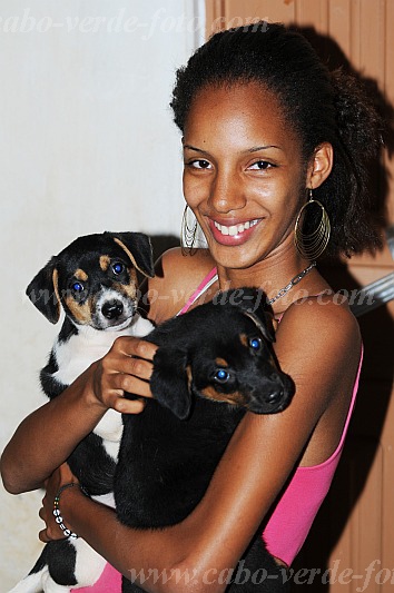 So Vicente : Mindelo Bela Vista : dog : Nature AnimalsCabo Verde Foto Gallery