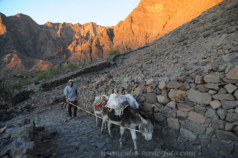 Santo Anto : Caetano Bordeira de Norte : hiking trail donkey : Landscape MountainCabo Verde Foto Gallery