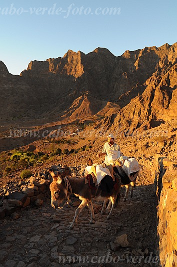Santo Anto : Caetano Bordeira de Norte : percurso pedestre burro : Landscape MountainCabo Verde Foto Gallery