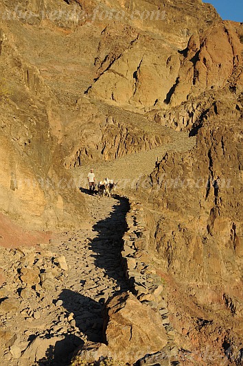 Santo Anto : Caetano Bordeira de Norte : percurso pedestre burro : Landscape MountainCabo Verde Foto Gallery