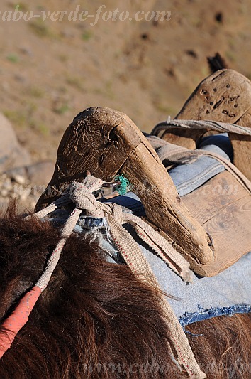 Santo Anto : Bordeira de Norte : saddle donkey : Technology TransportCabo Verde Foto Gallery