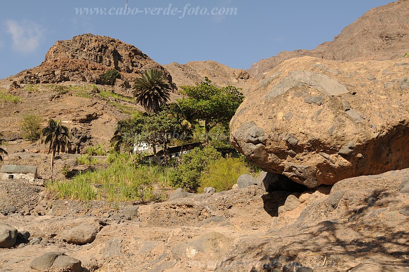 Santo Anto : Tarrafal de Monte Trigo Cavouco de Tarref : vale : Landscape AgricultureCabo Verde Foto Gallery