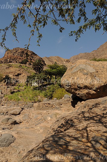 Santo Anto : Tarrafal de Monte Trigo Cavouco de Tarref : vale : Landscape AgricultureCabo Verde Foto Gallery