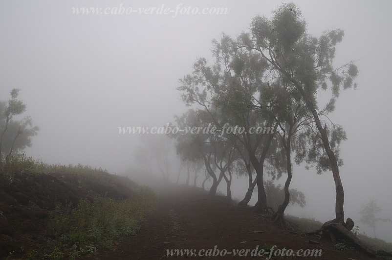 Santo Anto : Lagoa : mist : LandscapeCabo Verde Foto Gallery