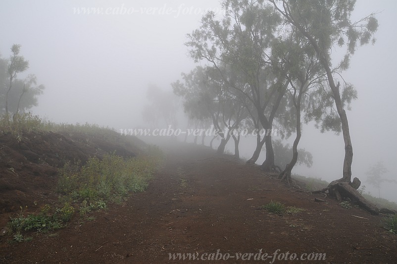 Santo Anto : Lagoa : mist : LandscapeCabo Verde Foto Gallery