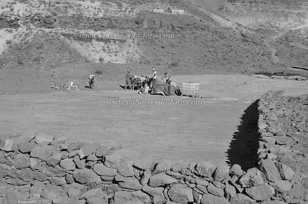 Santo Antão : Norte Cha de Feijoal : pastores burros na aguada : People WorkCabo Verde Foto Gallery