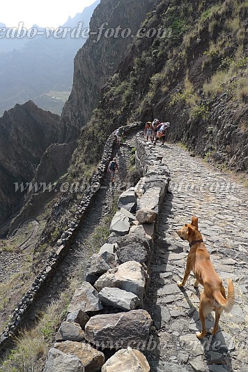 Santo Anto : Bordeira de Norte : serpentine mountain trail : Landscape MountainCabo Verde Foto Gallery