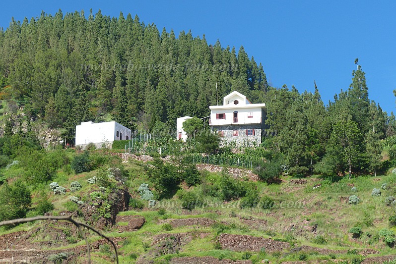 Santo Anto : Pico da Cruz Lombo Vermelho : green fiels beneth the pine forest house : Landscape MountainCabo Verde Foto Gallery
