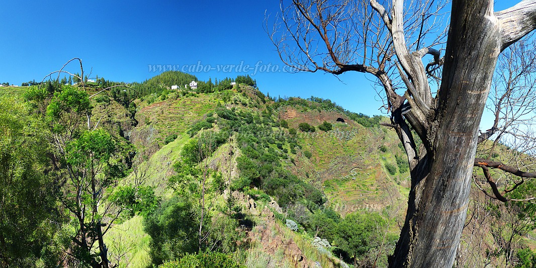 Santo Anto : Pico da Cruz Lombo Vermelho : green fiels beneth the pine forest house : Landscape MountainCabo Verde Foto Gallery