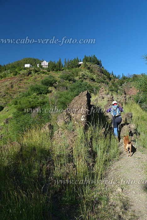 Santo Anto : Pico da Cruz Lombo Vermelho : meradas verdes frente ao permetro florestal casa : Landscape MountainCabo Verde Foto Gallery