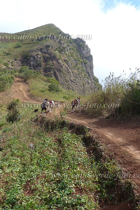 Santiago : Achada Lagoa : caminho vizinal : Landscape MountainCabo Verde Foto Gallery