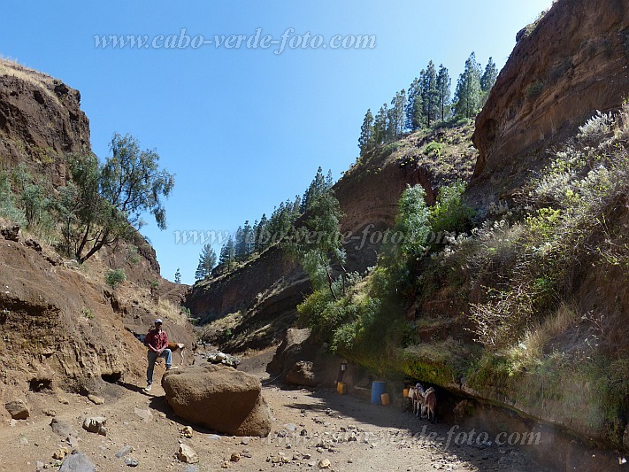 Insel: Santo Anto  Wanderweg: 207a Ort: Ribeira de Poi Motiv: Wanderweg Schlucht Wasserstelle Motivgruppe: Landscape Mountain © Pitt Reitmaier www.Cabo-Verde-Foto.com