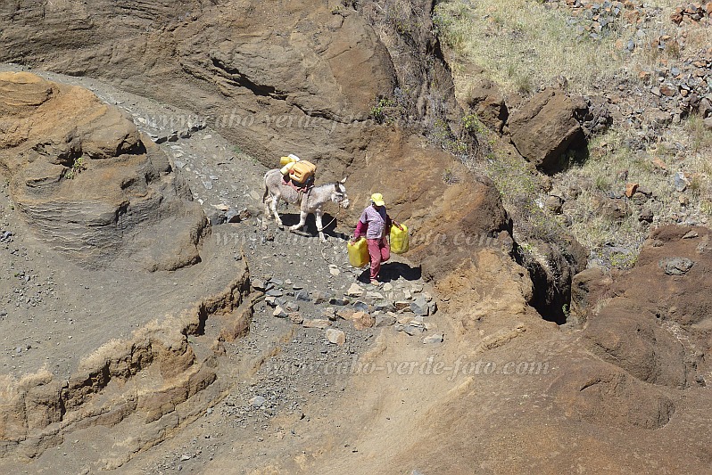 Insel: Santo Anto  Wanderweg: 207a Ort: Ribeira de Poi Motiv: Wanderweg mit Esel auf dem Weg zur Quelle Motivgruppe: Landscape Mountain © Pitt Reitmaier www.Cabo-Verde-Foto.com