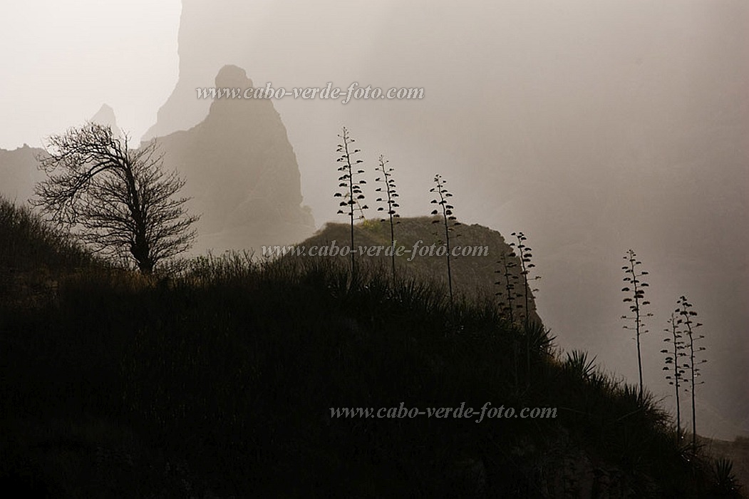 Santo Anto : Corda : montanha : Landscape MountainCabo Verde Foto Gallery