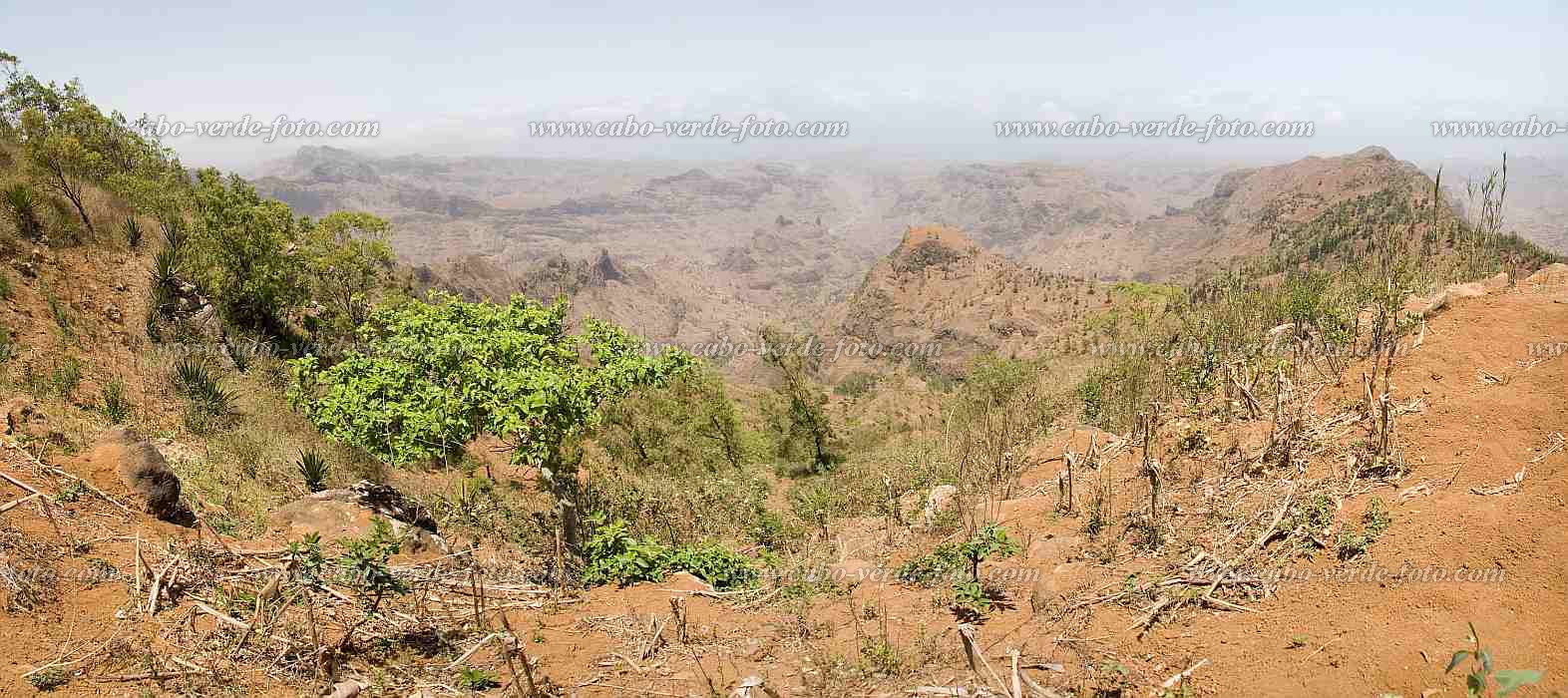 Insel: Santiago  Wanderweg:  Ort:  Motiv: Panorama Motivgruppe: Landscape Agriculture © Florian Drmer www.Cabo-Verde-Foto.com