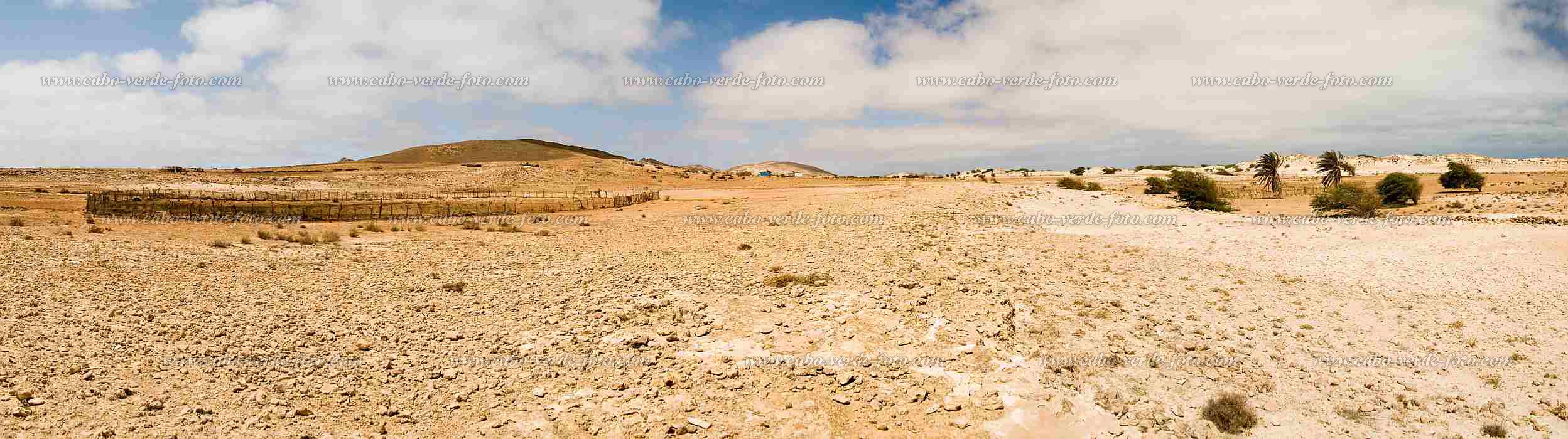 Boa Vista : Bofareia : caminho no deserto : Landscape DesertCabo Verde Foto Gallery