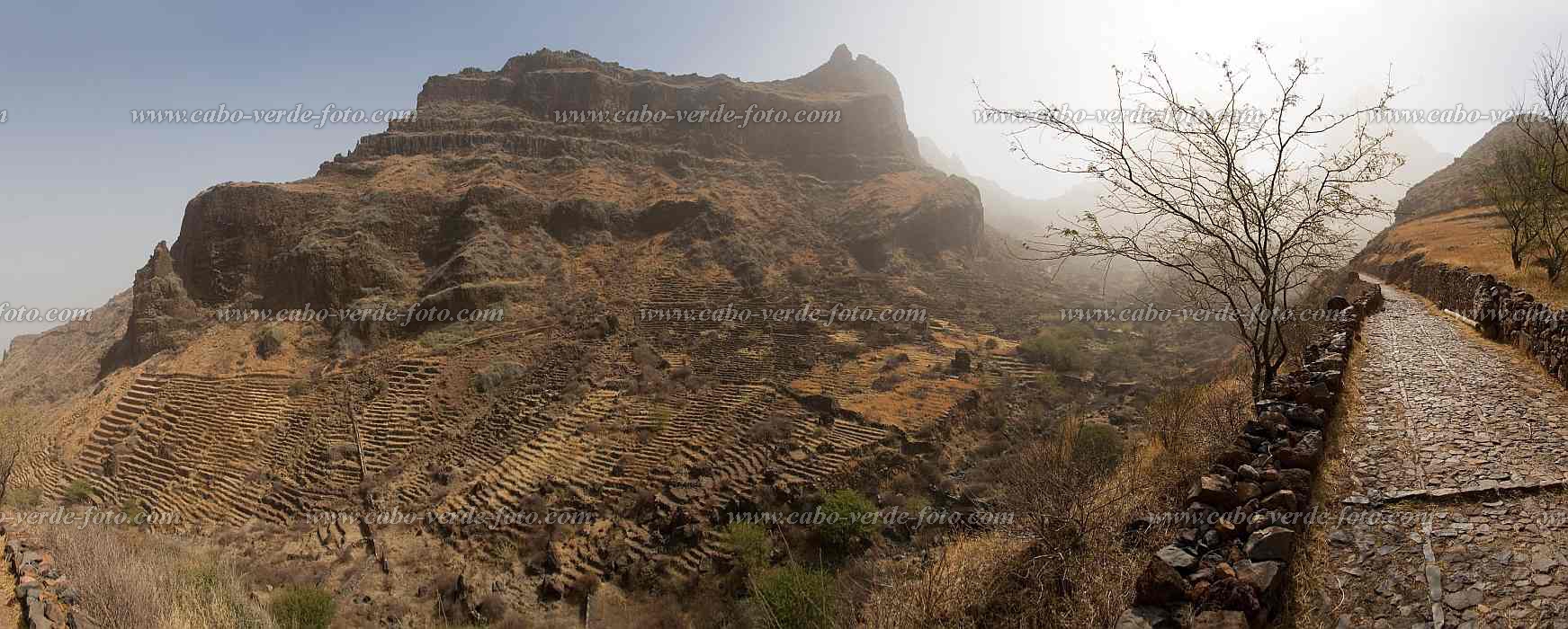 So Nicolau : Praia Branca :  : Landscape AgricultureCabo Verde Foto Gallery